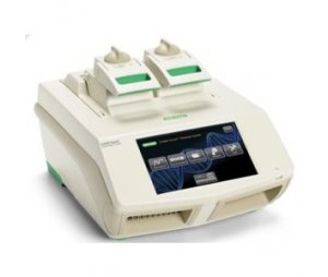 bio-rad C1000 PCR仪