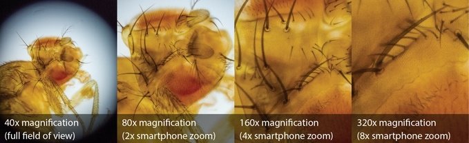 µPeek 专业便携式显微镜 增强版（带荧光