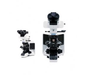 奥林巴斯Olympus BX53MP偏光显微镜