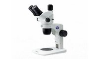 Olympus SZ51和SZ61变焦立体显微镜