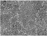 韵翔 银包金核壳结构纳米粒子应用范围，特别适用于对多环芳烃类化学<em>物种</em>的SERS检测