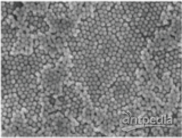 韵翔 银包金核壳结构纳米粒子应用范围，特别适用于对多环芳烃类化学物种的SERS检测