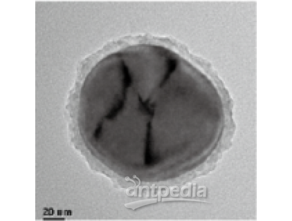 韵翔 硫化镉包金核壳结构纳米粒子可用于硫化镉半导体催化的反应过程的原位拉曼研究