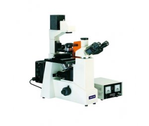 KEWLAB IFM-1 倒置荧光显微镜