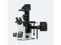 奥林巴斯倒置荧光显微镜IX73