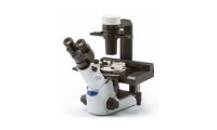奥林巴斯倒置显微镜CKX53