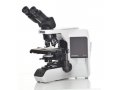奥林巴斯显微镜BX43