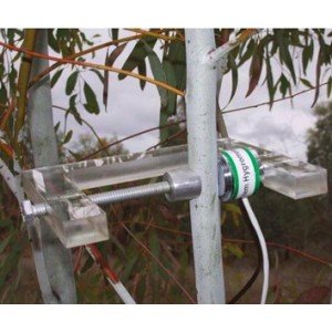 <em>澳大利亚</em>PSY-1植物茎杆水势仪