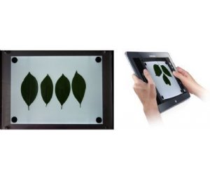 LA-S植物图像分析仪平板电脑拍照款叶面积仪