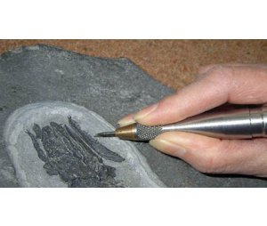 美国paleoTools JACK化石修复气动针
