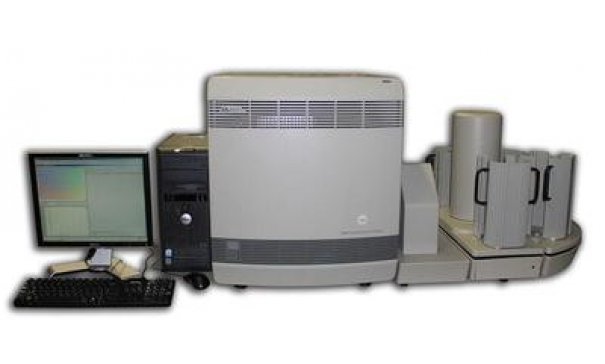 美国ABI7900实时荧光定量PCR仪