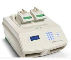 美国伯乐PCR仪 S1000