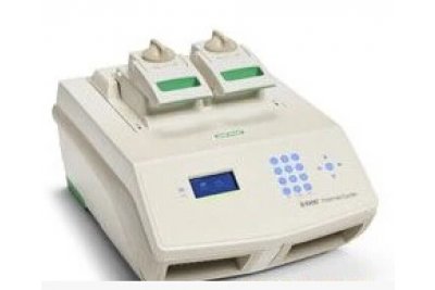 美国伯乐PCR仪 S1000