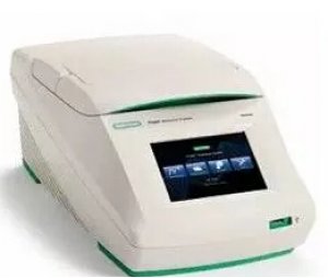 美国伯乐 T100 PCR