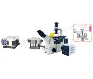 电化学-针尖增强拉曼光谱测试系统