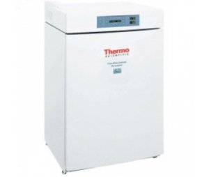 Thermo Scientific Forma CO2培养箱