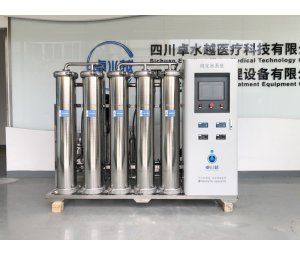 ZYCHS系列制剂室纯化水系统 ZYCHS-250L