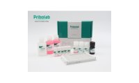 PriboFast 伏马毒素B1 ELISA 检测试剂盒