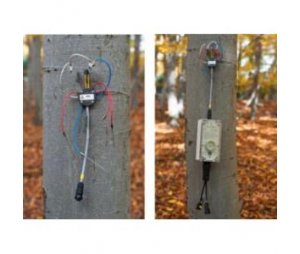 EMS81便携式树木茎流观测仪