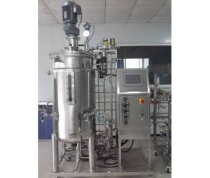  FC-ZN-10L智能型发酵罐-发酵罐设备优质发酵罐