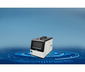 雪迪龙 便携式气相色谱仪MODEL 3080GC-NMHC 