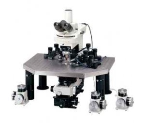 尼康 Eclipse FN1 正置显微镜