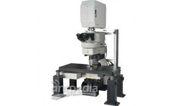 尼康 A1mp+/A1rmp+ 高清多光子共焦显微镜