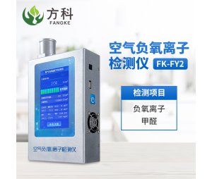 负氧离子甲醛检测仪 FK-FY2