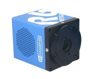 Q-Imaging R6面阵探测器