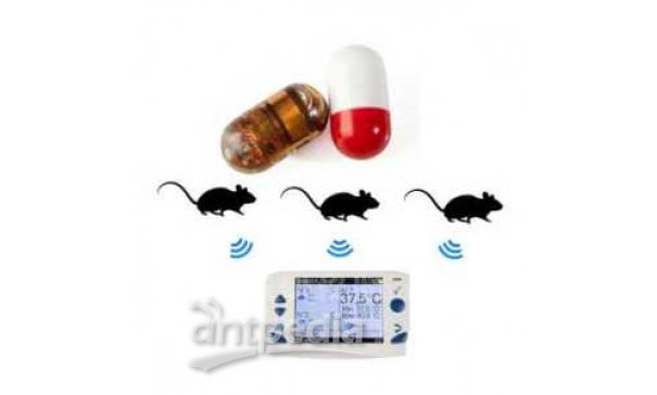 大鼠体温无线遥测，小鼠体温无线测量仪