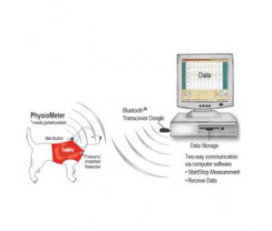动物血管血流无线测量仪