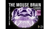 小鼠脑图谱 / The Mouse Brain