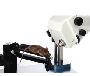玉研仪器 视网膜影像系统