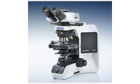 BX53-P 偏光显微镜