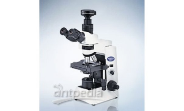 CX41 常规显微镜