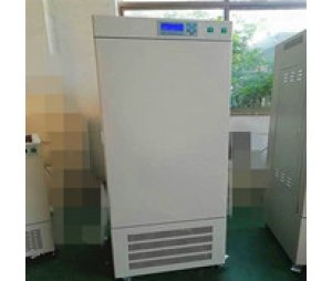 上海培因智能人工气候培养箱RGL-450L