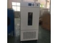 上海培因精密型智能生化培养箱SHP-250
