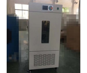 上海培因精密型智能生化培养箱SHP-250