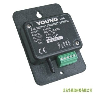 RM Young61302<em>大气压力传感器</em>