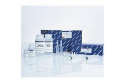 QuantiNova Probe PCR Kit 试剂盒