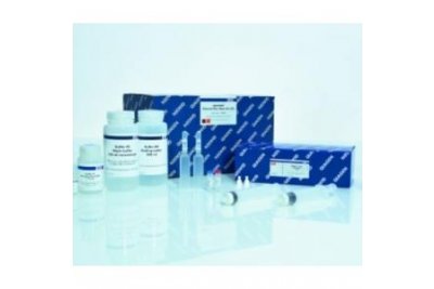 QIAGEN OneStep Ahead RT-PCR Kit试剂盒