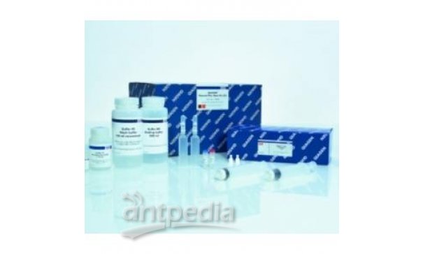 REPLI-g Single Cell DNA Library Kit试剂盒