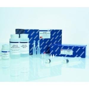 <em>质粒</em>纯化试剂盒QIAGEN Plasmid Plus Kit