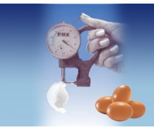 蛋壳厚度测量仪 FHK NFN380