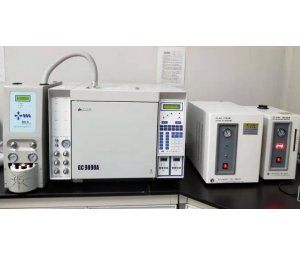 非甲烷总烃检测专用色谱仪
