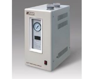  氮气发生器SPN-300 
