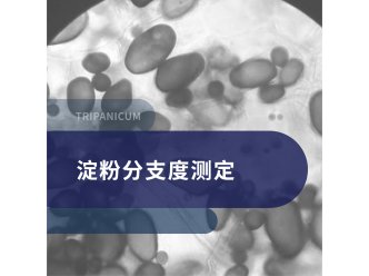 淀粉分支度测定