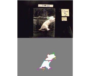 DpressionScan动物（大小鼠）抑郁行为分析系统 