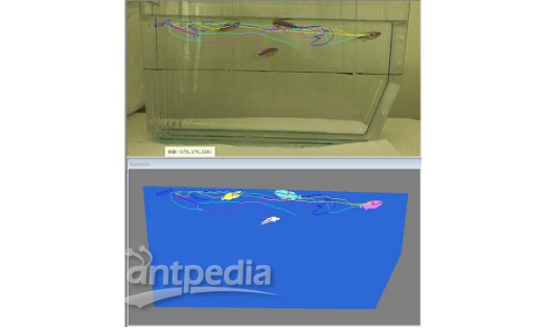 AquaScan斑马鱼行为分析系统