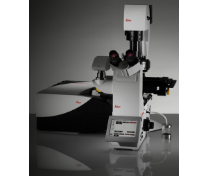 TCS SP8双扫描模式高速成像激光扫描共聚焦系统